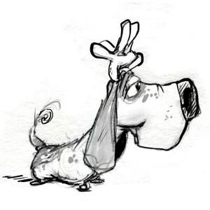 Meet your Posher, Becky